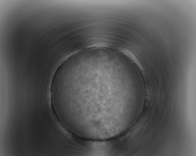 X0000088390890200705291406