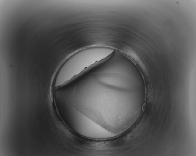 X0000088390892200705291406