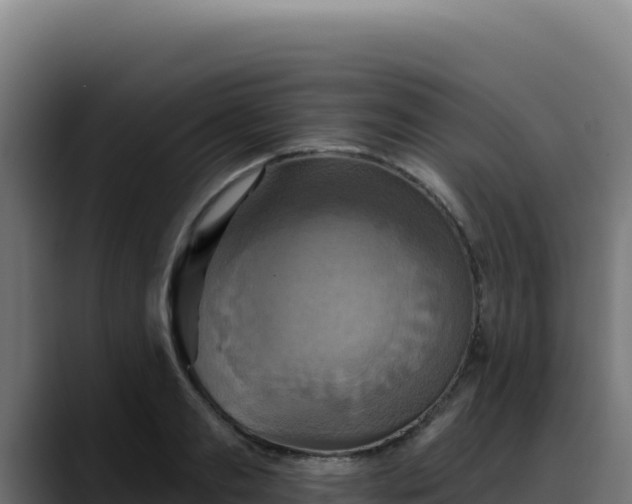 X0000088390893200705291406