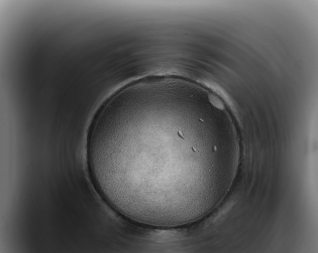 X0000088390894200705291406