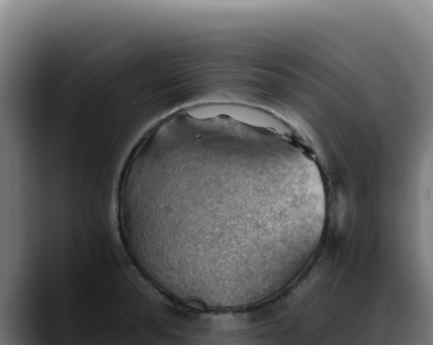 X0000088390896200705291406