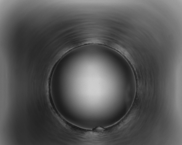 X0000088390898200705291405