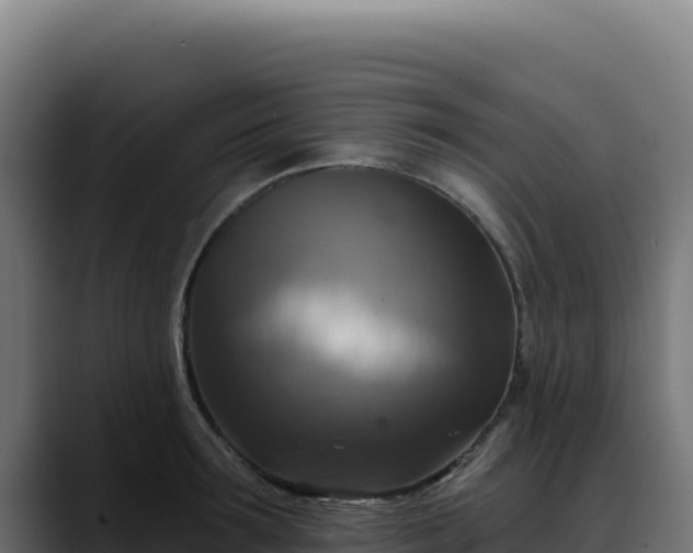 X0000088390899200705291405