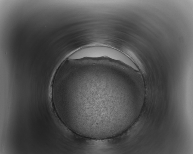 X0000088390900200705291405