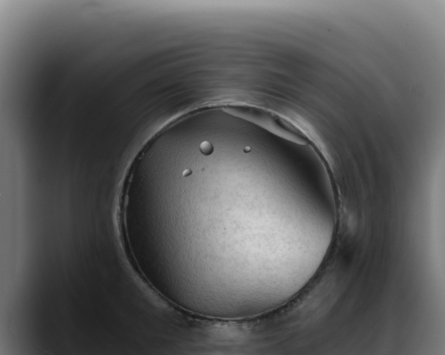 X0000088390901200705291405