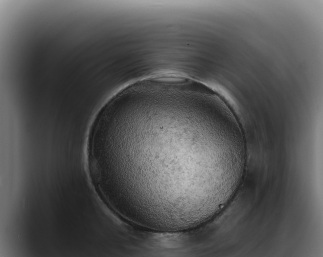 X0000088390902200705291405