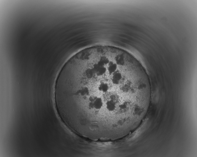 X0000088390903200705291405