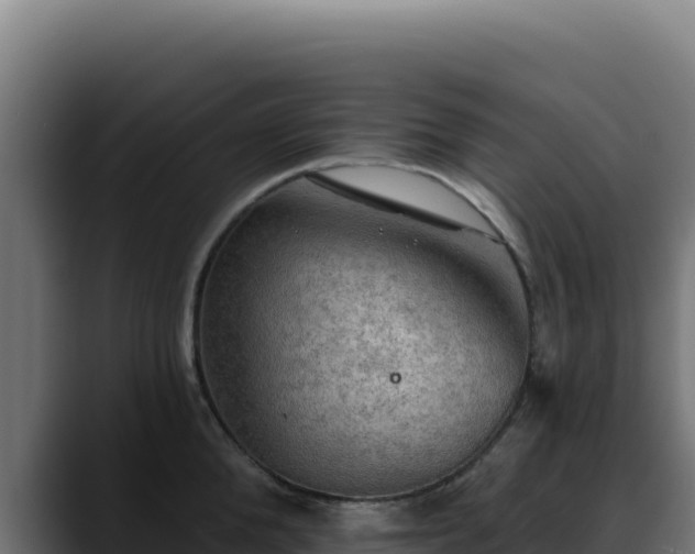 X0000088390904200705291405