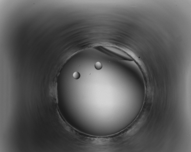 X0000088390905200705291405