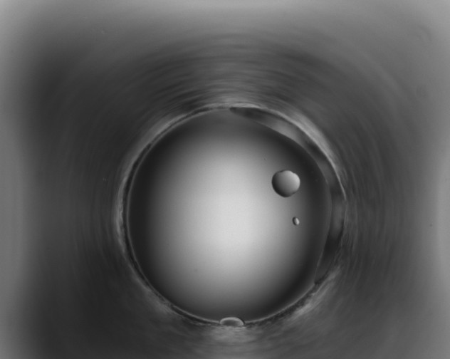 X0000088390909200705291405