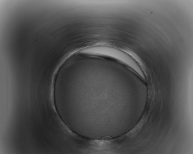 X0000088390910200705291405