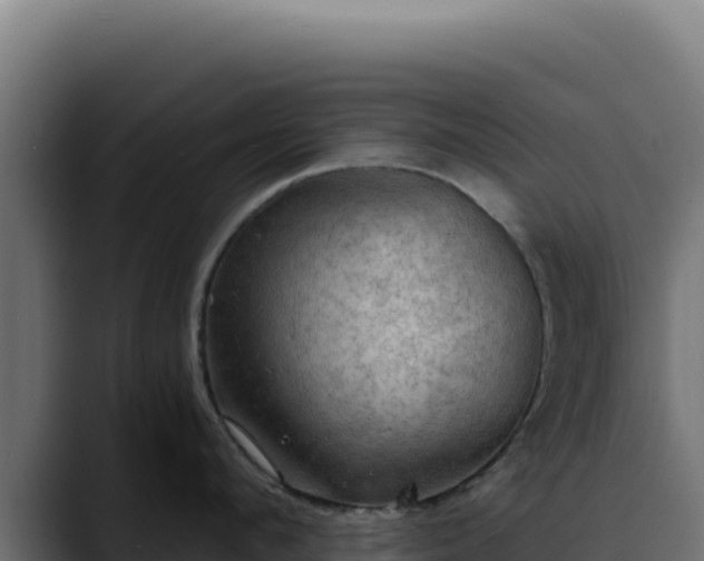 X0000088390912200705291405