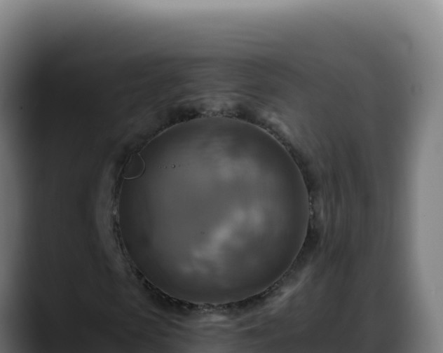 X0000088390913200705291405