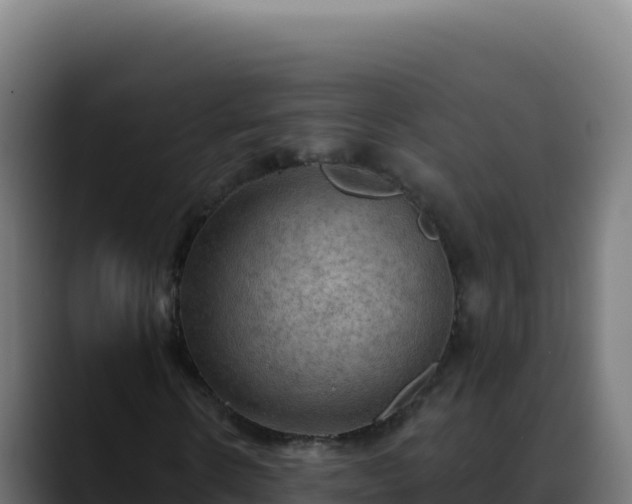 X0000088390914200705291405