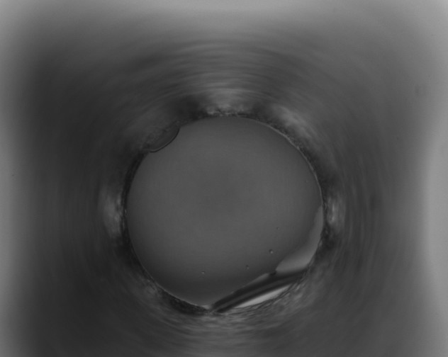 X0000088390915200705291405