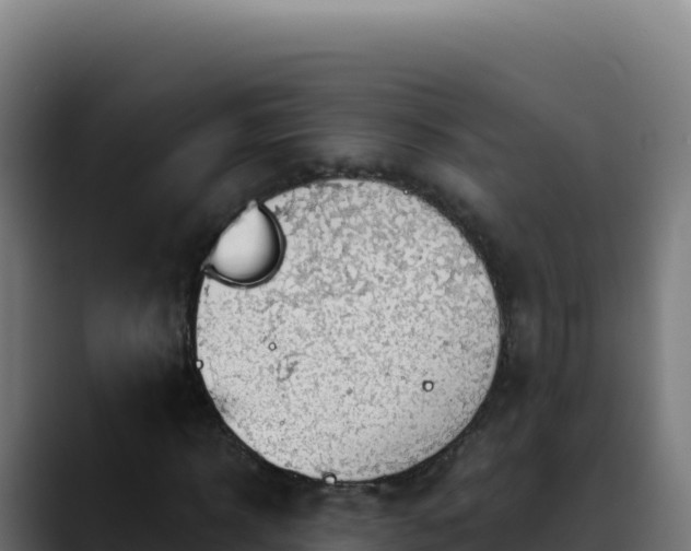 X0000088390918200705291405