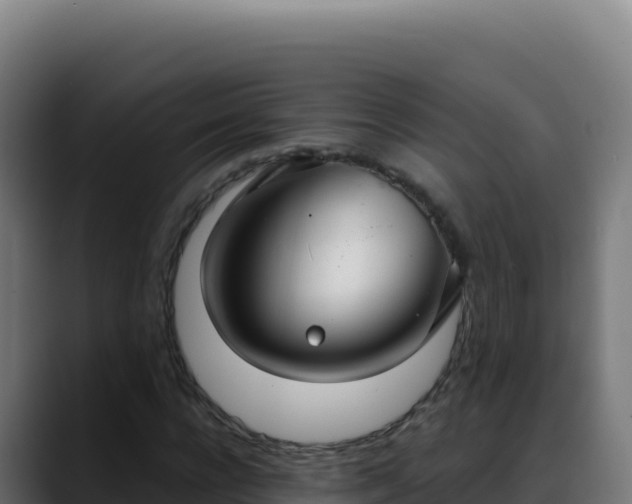 X0000088390920200705291405