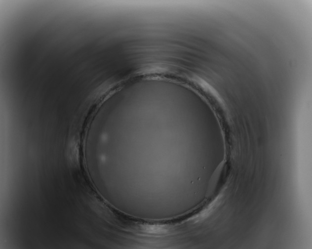 X0000088390921200705291405