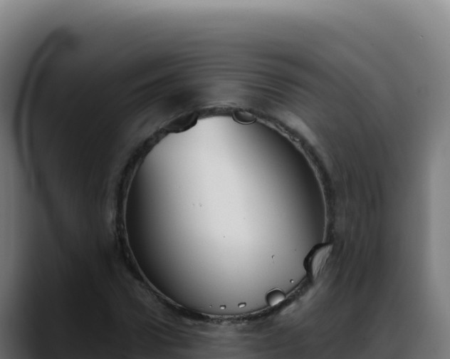 X0000088390922200705291405