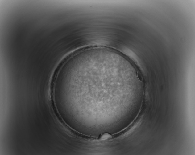 X0000088390924200705291405