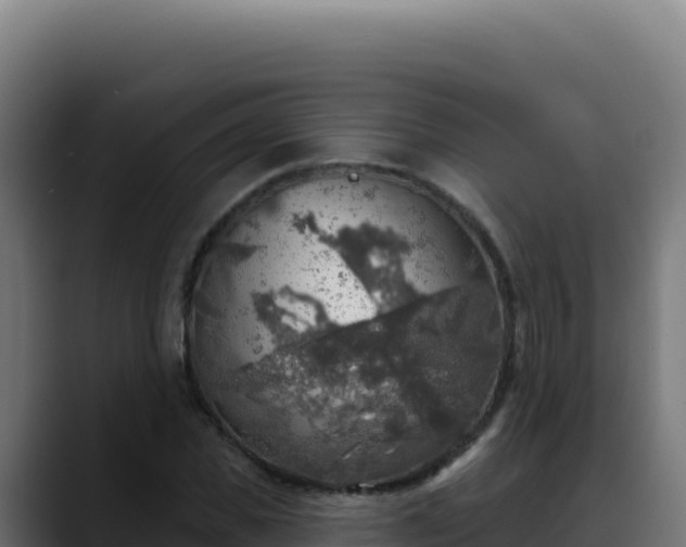 X0000088390925200705291405