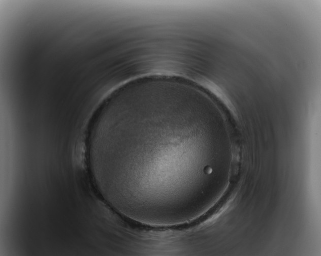 X0000088390926200705291405