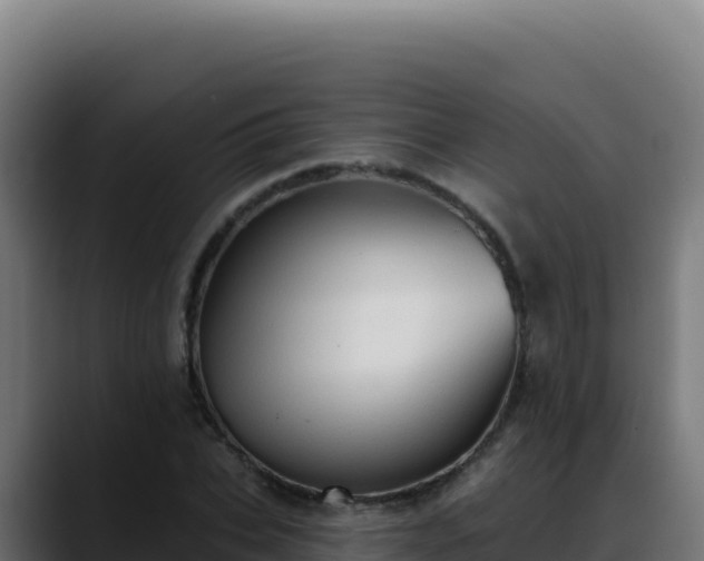 X0000088390927200705291405