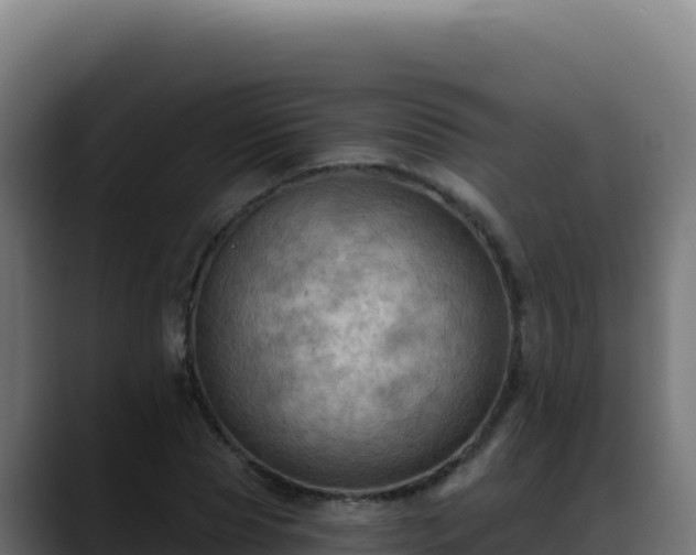 X0000088390929200705291405