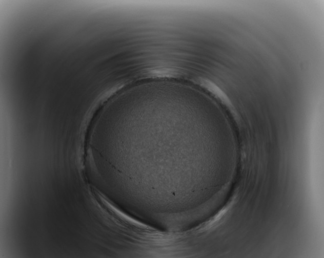 X0000088390930200705291405