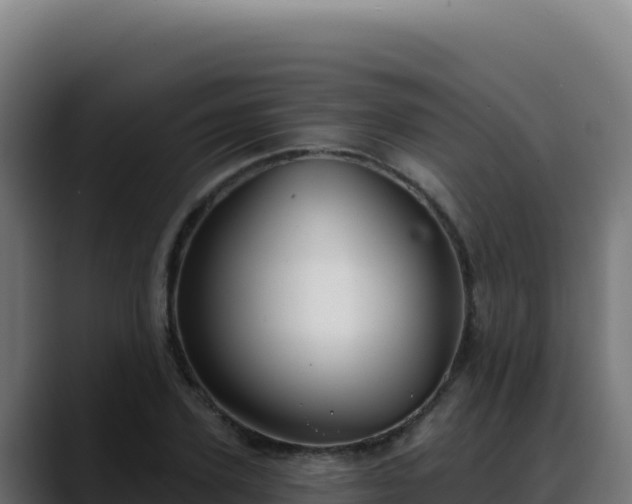 X0000088390931200705291405