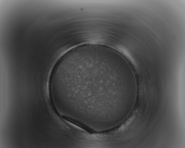 X0000088390932200705291405