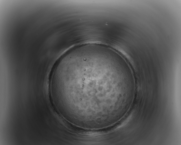 X0000088390933200705291405