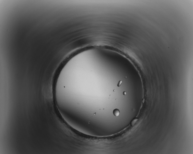 X0000088390934200705291405