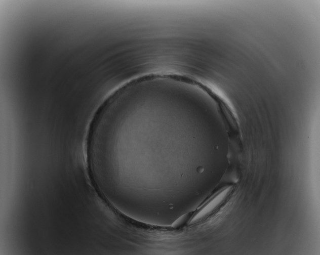 X0000088390935200705291405