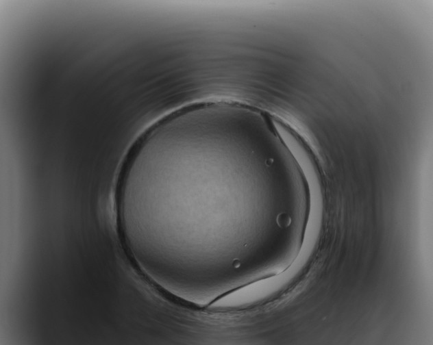 X0000088390936200705291405