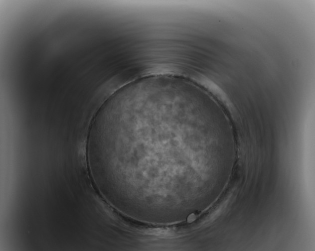 X0000088390937200705291405