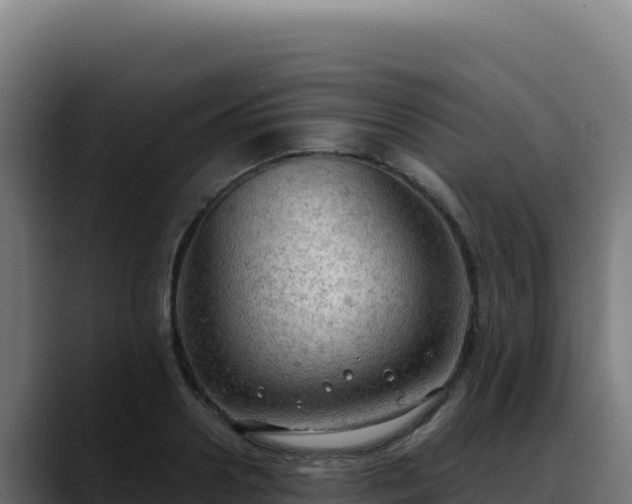 X0000088390938200705291405