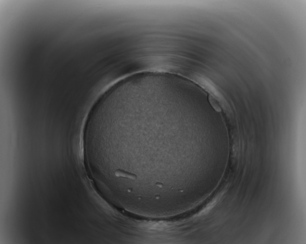 X0000088390940200705291405