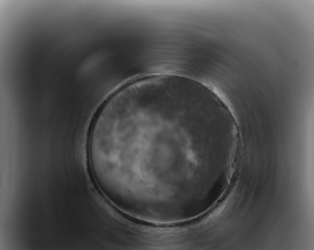 X0000088390941200705291405