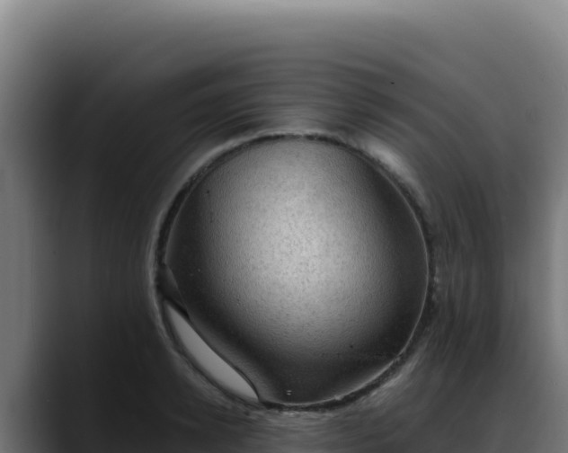 X0000088390942200705291405