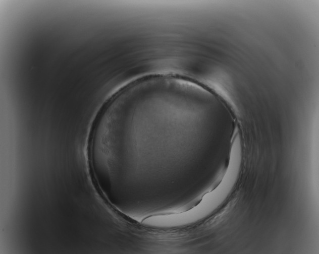 X0000088390943200705291405