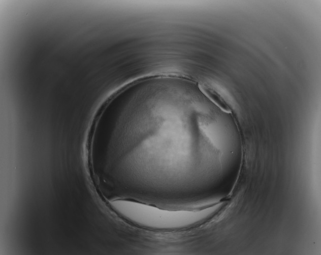 X0000088390944200705291405