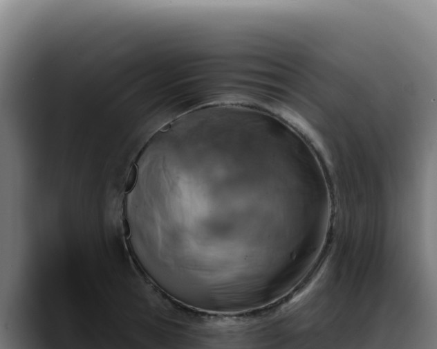 X0000088390945200705291405