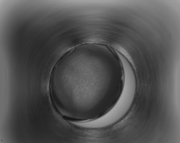 X0000088390946200705291405