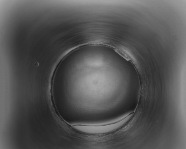 X0000088390948200705291405