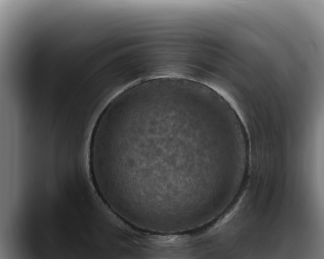 X0000088390949200705291405