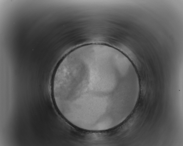 X0000088390950200705291405