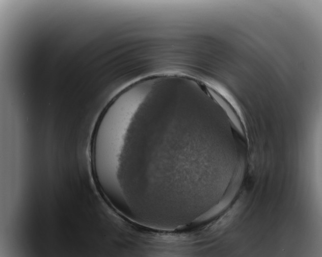 X0000088390951200705291405