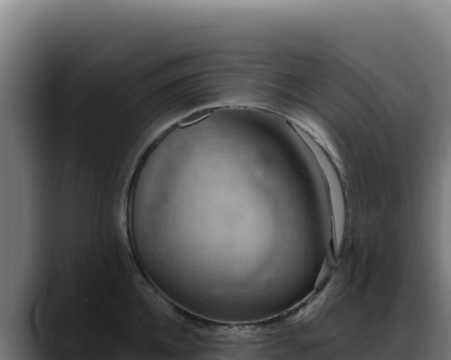 X0000088390952200705291405