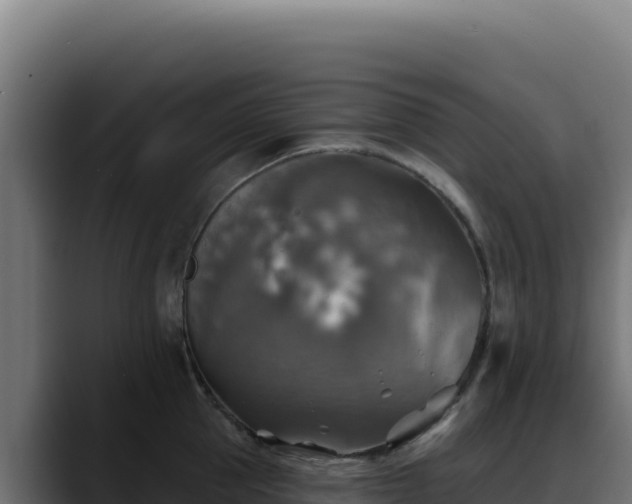 X0000088390953200705291405